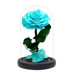 Розы в колбе